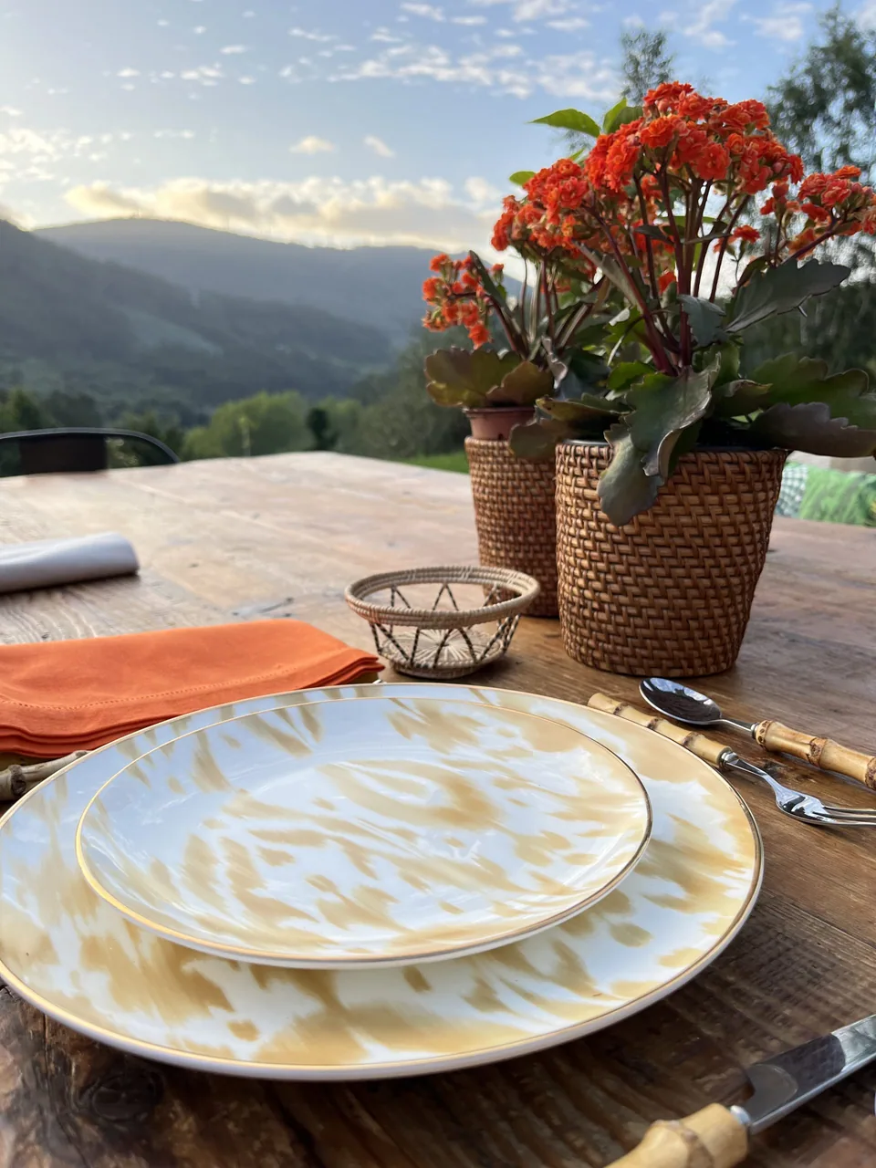 Vajilla de porcelana Serie Ikat